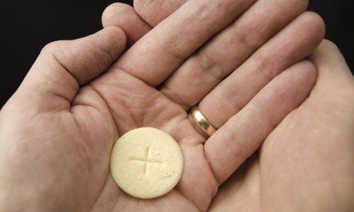 Extraordinary Ministers